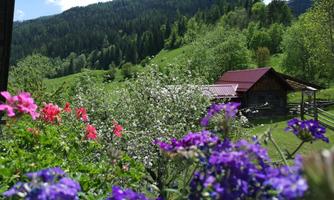A picturesque landscape with colorful flowers in the foreground and a traditional wooden house in the middle. In the background, green hills and forests can be seen.