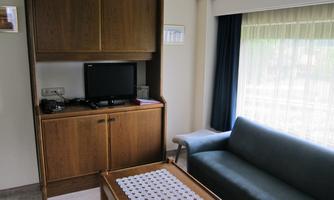 A simple living room with a gray sofa, a wood-colored cabinet, and a television. The room has large windows with curtains that let in a lot of light.