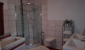 A modern bathroom with a shower, bathtub, and a sink. The walls are tiled, and there are plants for decoration.
