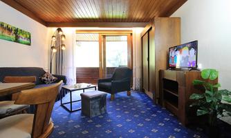 A cozy living room with wooden ceilings and a blue carpet. There is a dining table, a couch, and a television, as well as a small balcony with a window.