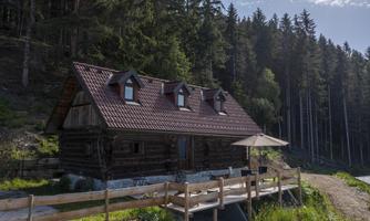 A cozy wooden house on the edge of the forest with an open outdoor area. Surrounded by green trees and clear sky.