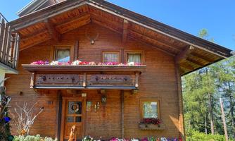 A cozy wooden house with a balcony adorned with colorful flowers. In the foreground, a dog sits beside blooming plants.