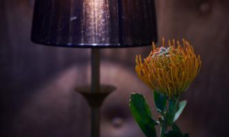 A glowing flower with orange petals stands next to a stylish lamp. In the background, a dark, soothing fabric is visible.