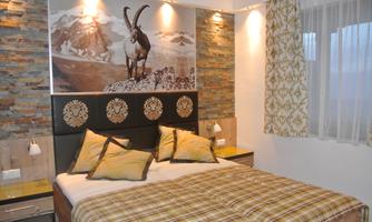 A cozy bedroom with a large bed and elegant pillows. The wall is decorated with a picture of a chamois and conveys a modern, inviting atmosphere.