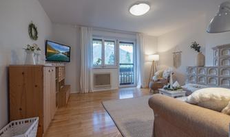 A cozy living room with a light wooden floor and large south-facing windows. The apartment is modernly furnished with a sofa, a television, and decorative plants.