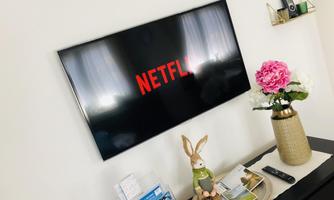A television displays the Netflix logo. Next to the television is a floral arrangement and a rabbit as decoration.
