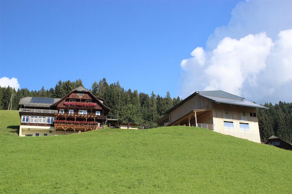 Pension Reiner - Lanerhof