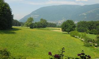 A vast meadow with green grass and colorful flowers. In the background, gentle hills and a blue sky can be seen.