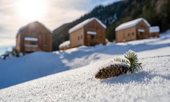 A snowy landscape with wooden chalets in the background. In the foreground, a pine cone lies on the sparkling snow.