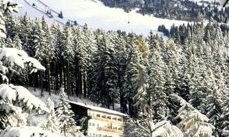 A picturesque winter landscape with snow-covered trees and a building in the foreground. In the background, the snow-capped mountains are visible.