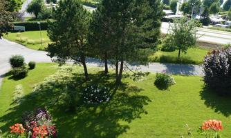 A green garden with two trees in the middle. Surrounded by colorful flowers and a clear blue sky.