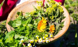 Eine Schale voller frischer Kräuter und Blumen, darunter gelbe und weiße Blüten. Die Farben sind lebhaft und die Pflanzen wirken gesund und aromatisch.