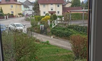 A view out the window onto a quiet residential street with several houses. In the foreground is a garden with colorful flowers and plenty of greenery.