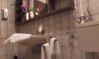 A small bathroom with a modern sink and towels. On the shelf, there are plants and decorative elements.