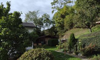 A beautiful garden with many trees and a well-maintained lawn. In the background, there is a small house and a hill formation.