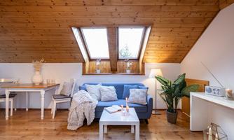 A cozy living room with wooden floors and a blue couch.  
Large windows let in plenty of daylight, and plants create a relaxed atmosphere.