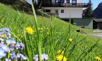 A picturesque hotel surrounded by green meadows and colorful flowers. In the background, trees and a clear blue sky can be seen.