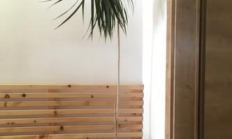 A houseplant is standing in a white pot with a basket next to it. The background is bright and made of wood.