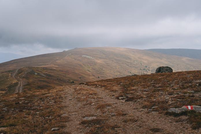 Von Hütte zur Hütte auf der Saualm - permanenter IVV Wanderweg