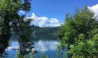 A quiet lake surrounded by lush greenery and blooming meadows. The sky is clear and blue, with some clouds.