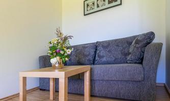 A cozy living room with a gray sofa and a small wooden table. On the table sits a blooming flower plant, and pictures hang on the wall.
