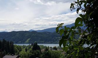 A picturesque landscape with mountains in the background and a calm lake. In the foreground, green trees and plants are visible.
