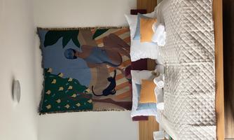 A stylish bedroom with a large bed and colorful pillows. On the wall hangs a piece of art depicting a woman with a banana and an animal.