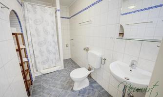 A bright bathroom with a shower, toilet, and sink. The walls are tiled in light colors and the floor has a simple carpet.