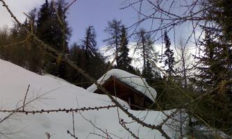A snowy landscape with a small wooden house in the background. Surrounded by tall trees and a clear sky.