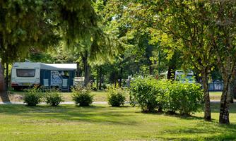 A quiet campsite with a caravan nestled among trees and green bushes. The green meadow invites relaxation.