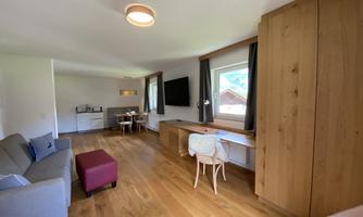 A bright living room with wooden floor and large windows. There is a sofa, a table, and a television.