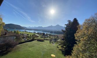 A picturesque landscape with green grass and trees. In the background, mountains and a clear blue sky can be seen.