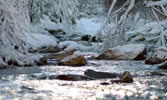A frozen river flows through a snowy landscape. The trees are covered with snow, and the water's surface shines in the winter sun.