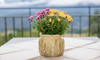 A beautiful flower in a decorative pot is on a table. In the background, gentle hills and a cloudy sky view can be seen.