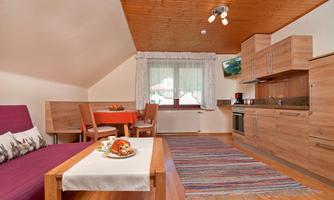 A cozy living kitchen with a wooden ceiling and modern furniture. A dining table and a kitchenette are also available.