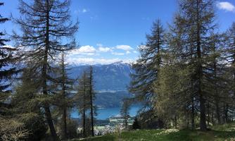 A picturesque landscape with trees and a clear view of a lake. In the background, snow-capped mountains and a blue sky can be seen.