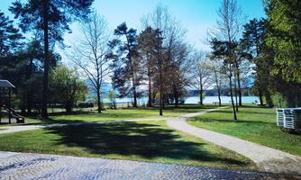 A quiet park with green meadows and tall trees. In the background, a lake can be seen, illuminated by sunlight.