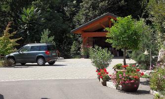 A driveway with a car and beautiful green foliage. In the background, a wooden house is visible, surrounded by plants and flowers.