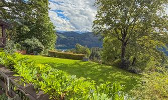 A green meadow with a view of the mountains under a cloudy sky. Trees frame the view and create a tranquil atmosphere.
