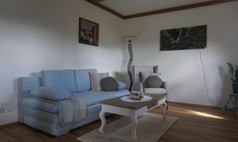 A cozy living room with a blue sofa, an armchair, and a coffee table.  
On the wall hangs a TV and there is a beautiful carpet on the floor.