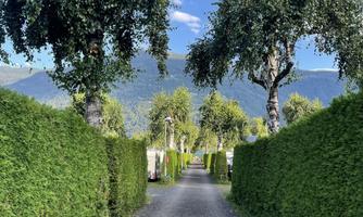 A narrow gravel path, surrounded by tall hedges and trees. In the background, some mountains and a blue sky can be seen.