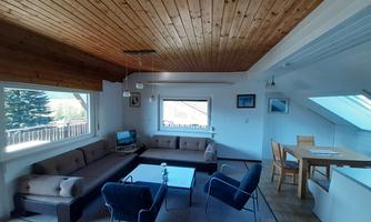 A bright living space with a wooden ceiling and modern furniture. Large windows provide plenty of daylight and a view of the outdoors.