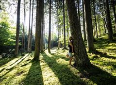 Waldbaden Headerbild Waldbaden Headerbild