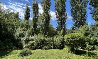 A beautiful garden with dense greenery and tall trees. The sky is clear and blue.