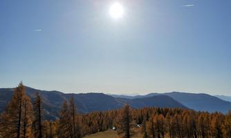 A sunny mountain view with golden larch trees. The landscape stretches over gentle hills and mountains under a clear sky.
