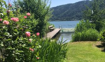 A tranquil lake landscape with a wooden terrace and green shore vegetation. Colorful rose petals frame the scene and give it a picturesque character.