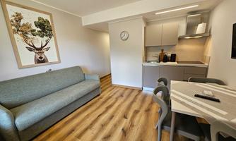 A modern living room with a gray sofa and a dining table. The open kitchen is well-equipped and a deer picture hangs on the wall.