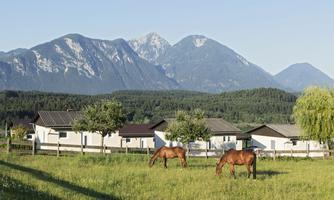 A peaceful landscape with two horses grazing on a green meadow. In the background, mountains and some houses can be seen.