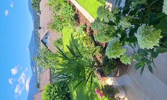 A beautiful garden with colorful flowers and green plants. The surrounding mountains are visible under a blue sky and sun.