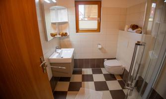 A modern bathroom with a white sink, a shower, and a toilet. The floor is designed with black-and-white tiles and there are natural light sources.